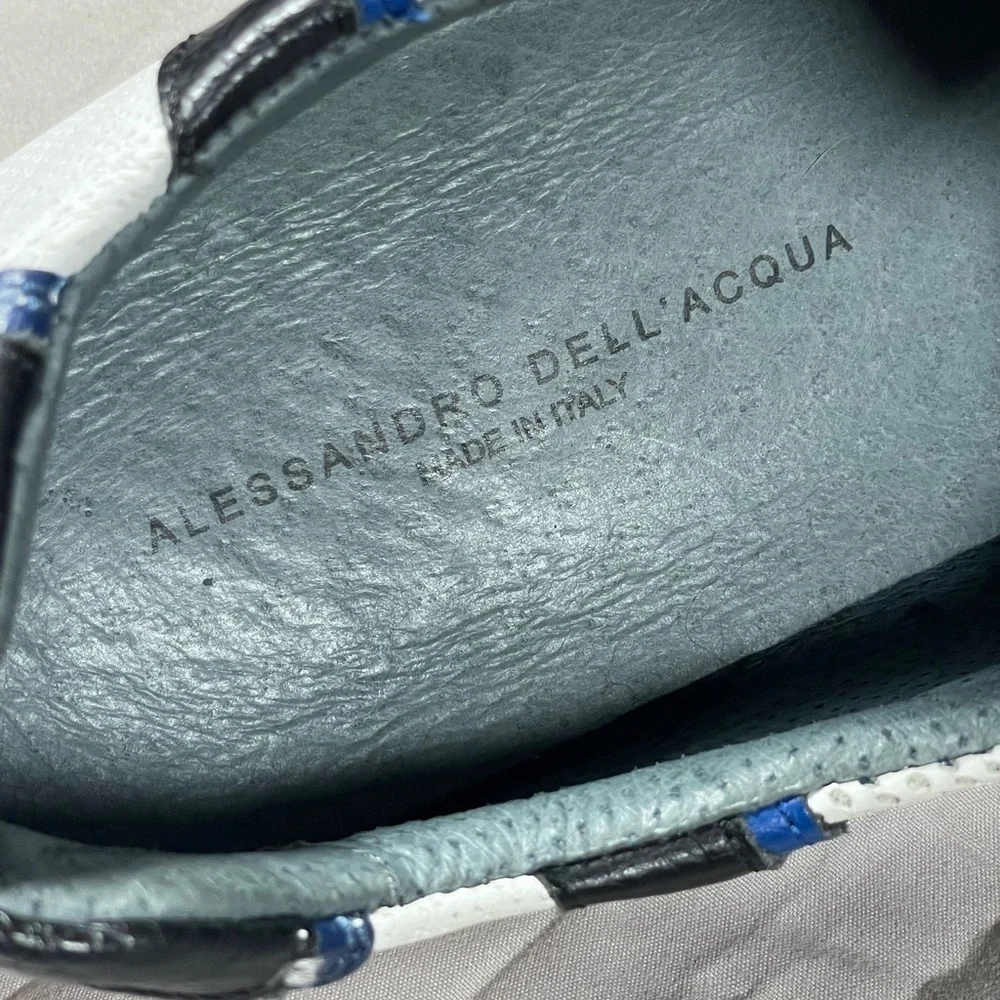 Alessandro DellAcqua made very